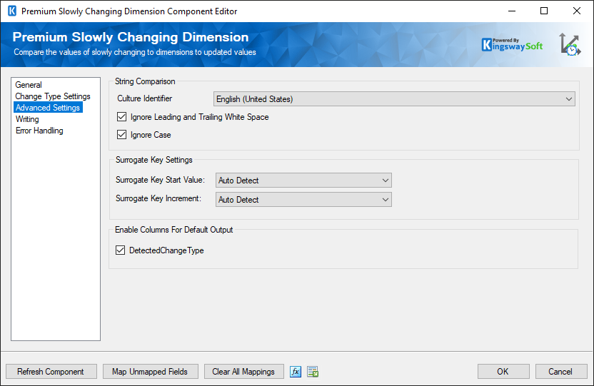SSIS Premium Slowly Changing Dimension - advanced settings